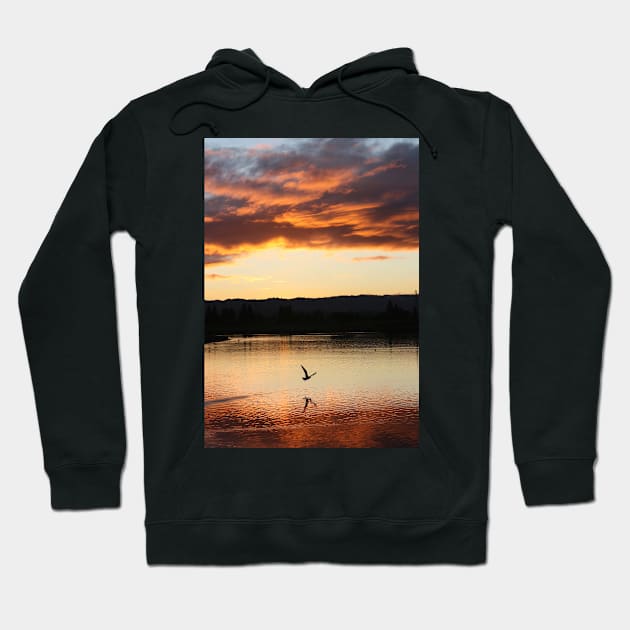 Sunday's almost gone... Shoreline Park, Mountain View, California Hoodie by IgorPozdnyakov